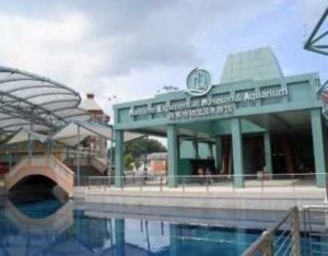 @sentosa